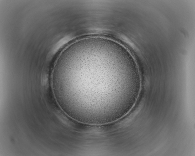 X0000114161259200910151558