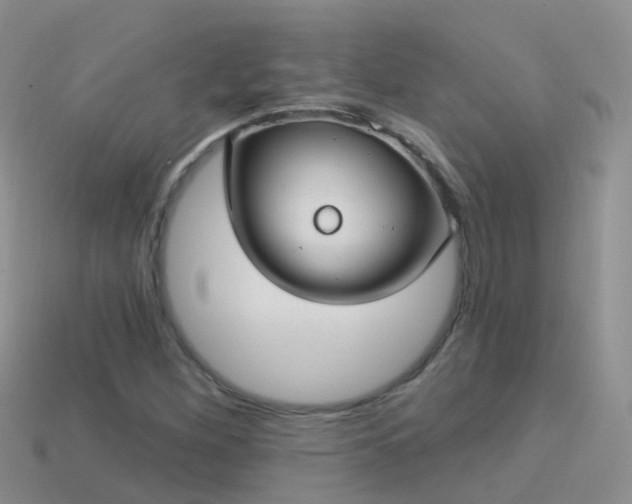 X0000114161260200910151558