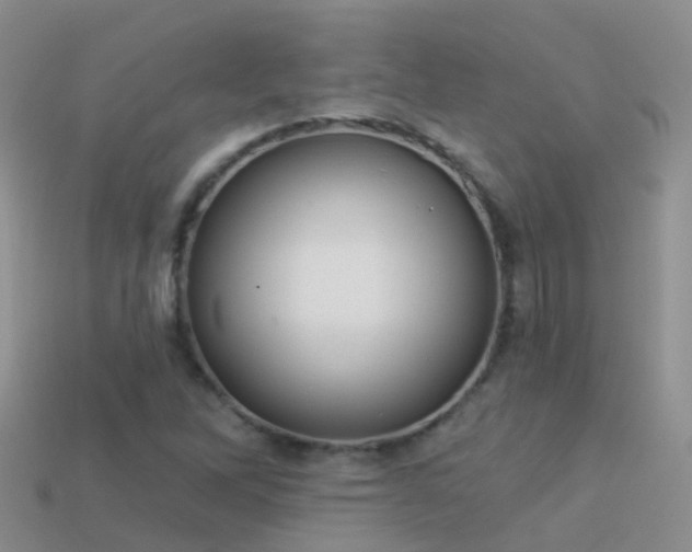 X0000114161262200910151558