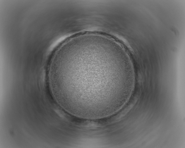 X0000114161263200910151558