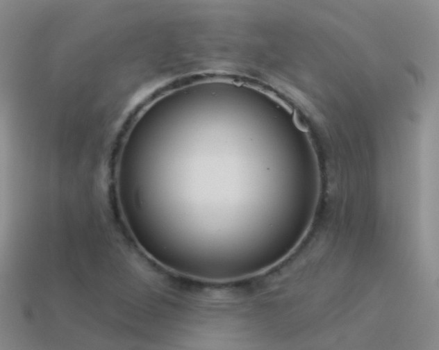 X0000114161264200910151558