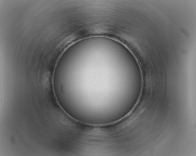 X0000114161265200910151558