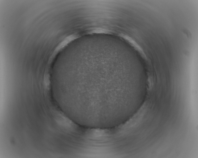 X0000114161266200910151558