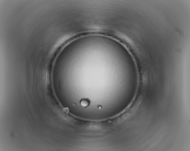 X0000114161267200910151558