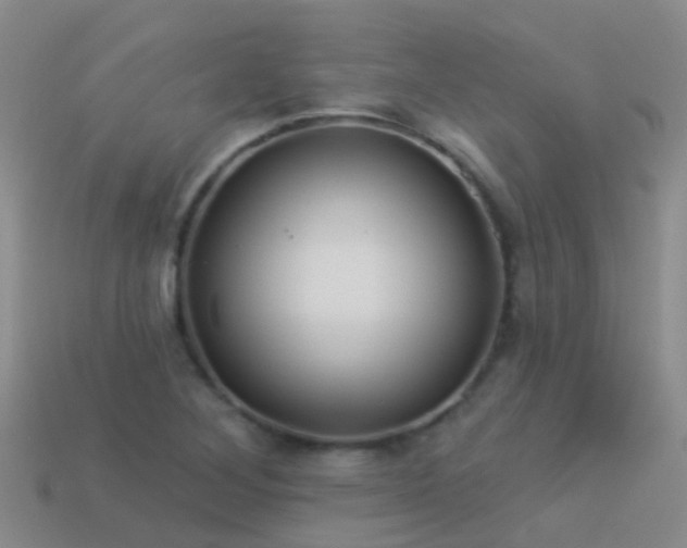 X0000114161268200910151558