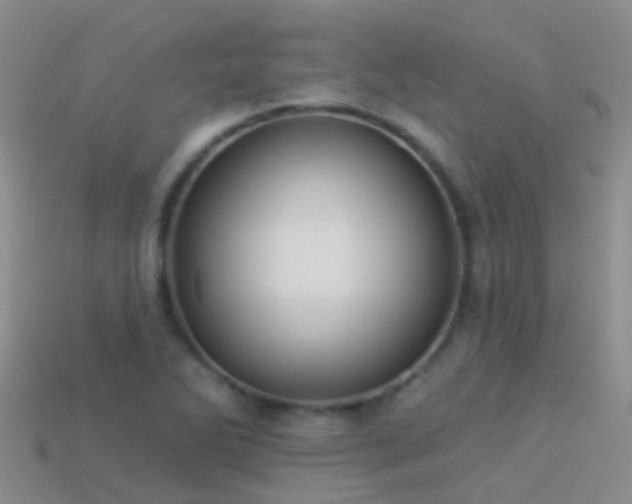 X0000114161270200910151558