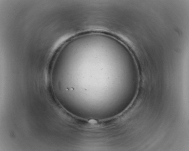 X0000114161271200910151558