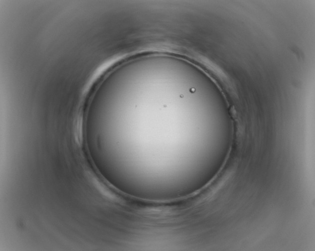 X0000114161272200910151558