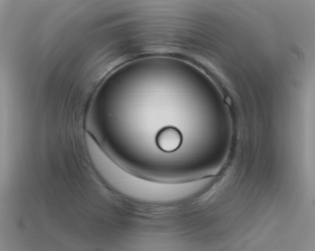 X0000114161273200910151558