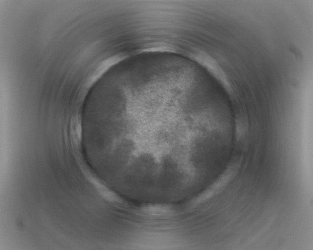 X0000114161274200910151558