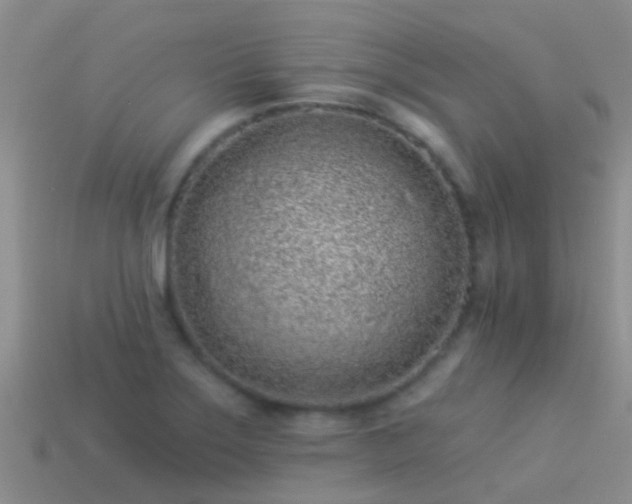 X0000114161275200910151558