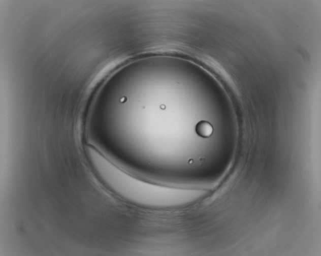 X0000114161277200910151558