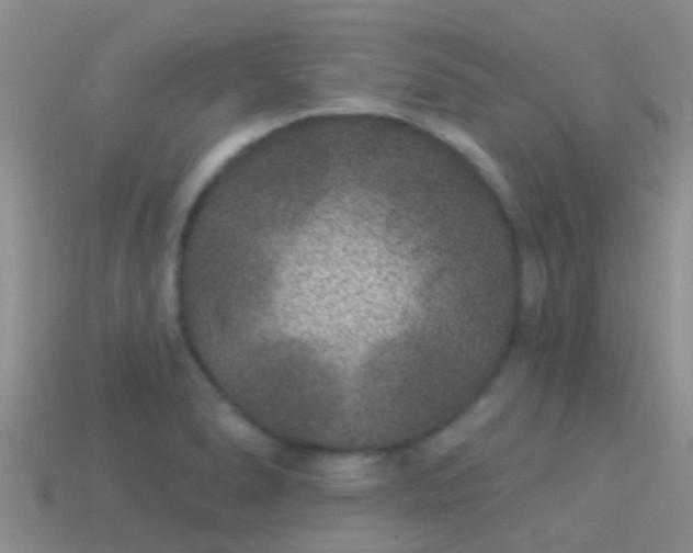 X0000114161278200910151558