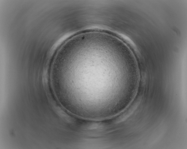 X0000114161279200910151558