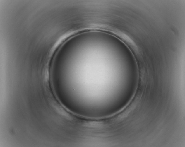 X0000114161280200910151558