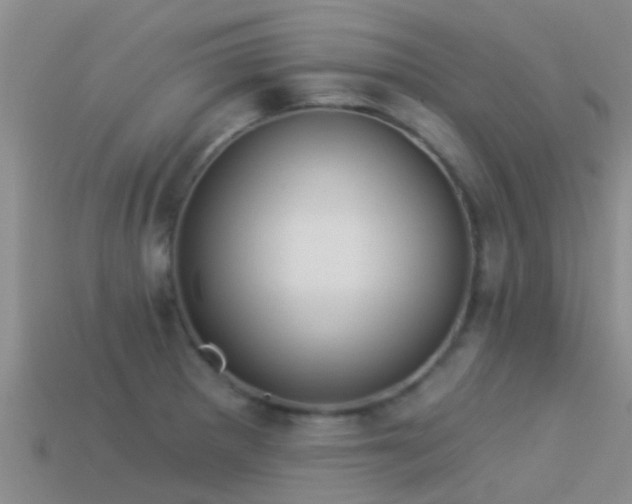 X0000114161281200910151558