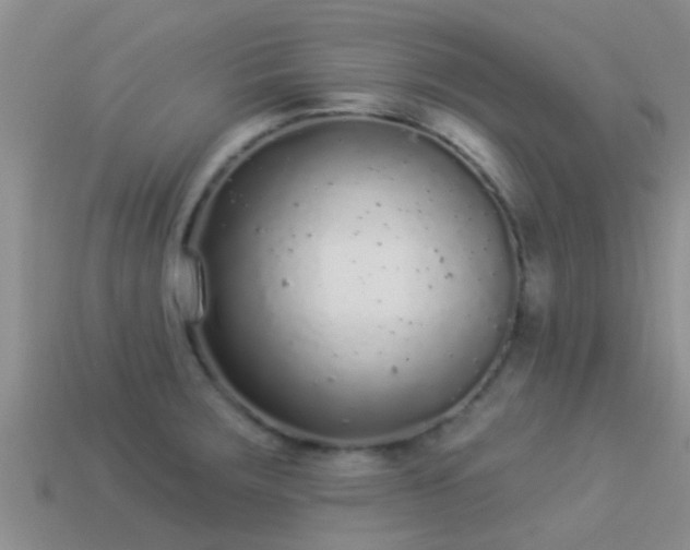 X0000114161283200910151558