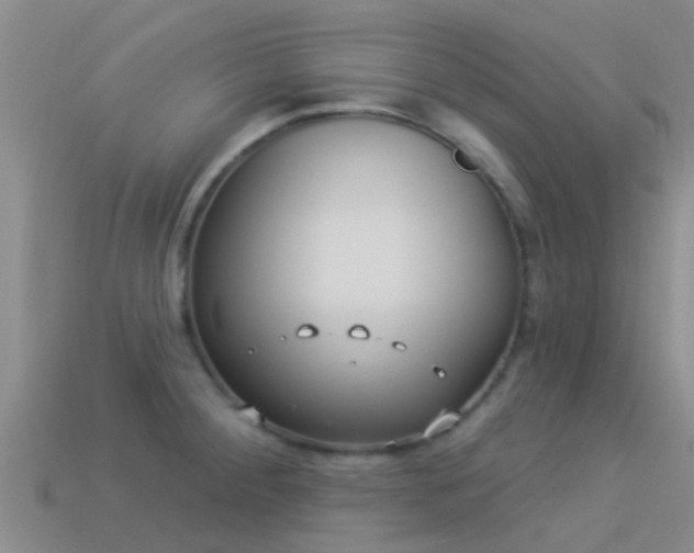 X0000114161284200910151558