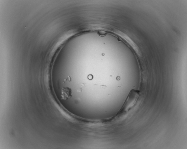 X0000114161285200910151558