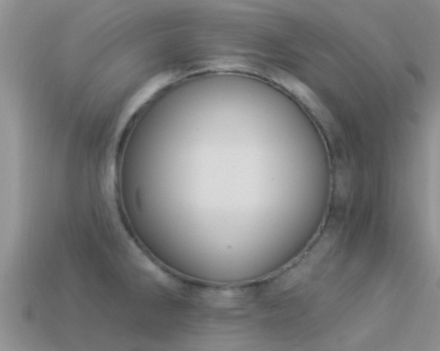 X0000114161286200910151558