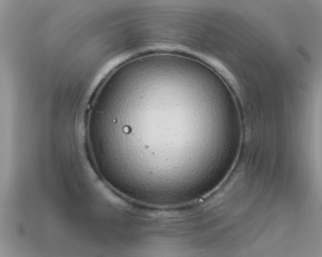 X0000114161287200910151558