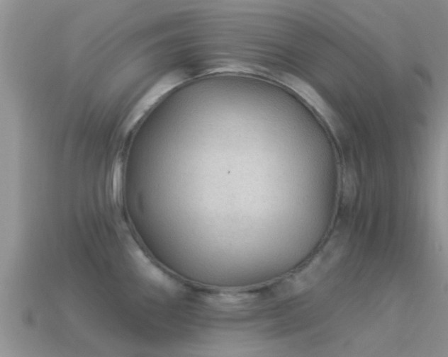 X0000114161290200910151558