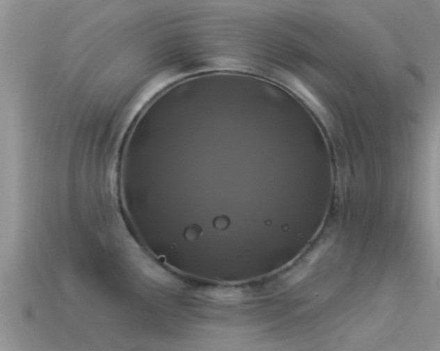 X0000114161291200910151558