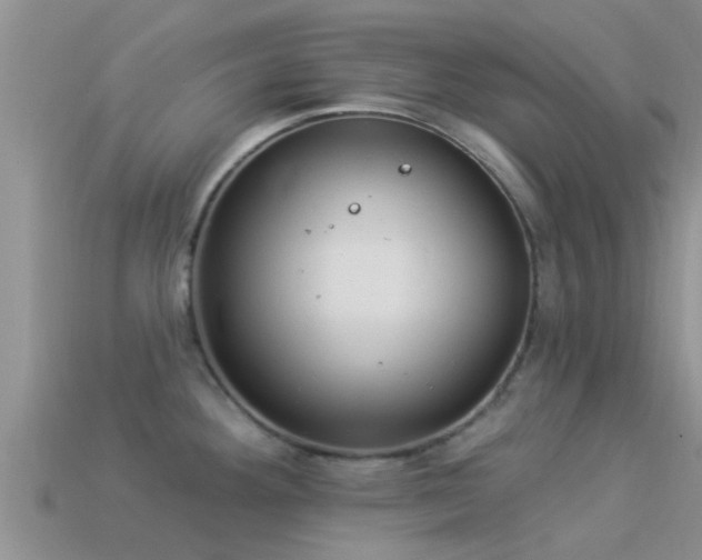 X0000114161292200910151558