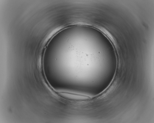 X0000114161293200910151558