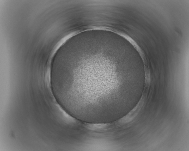 X0000114161294200910151558