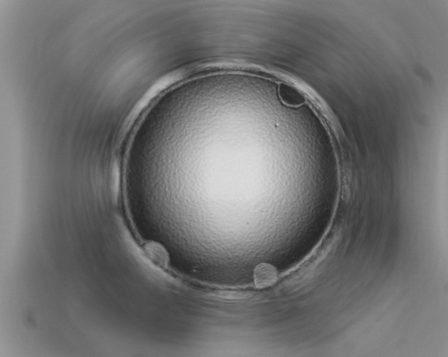 X0000114161295200910151558