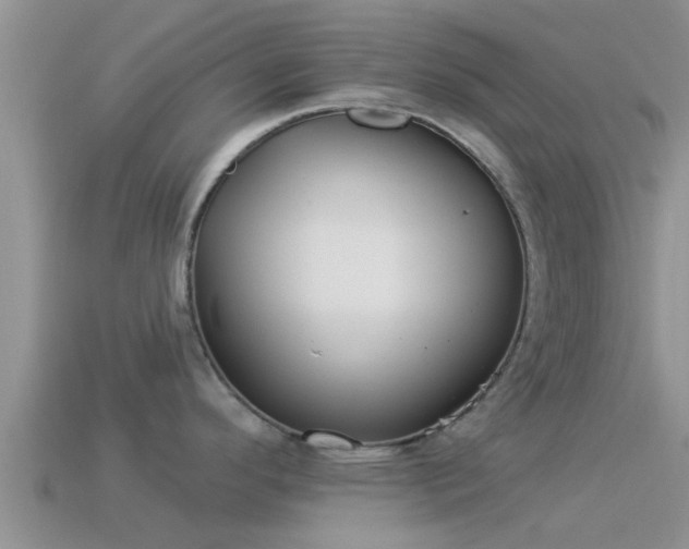 X0000114161296200910151558