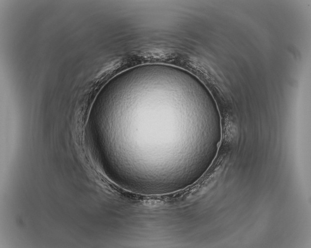 X0000114161297200910151557