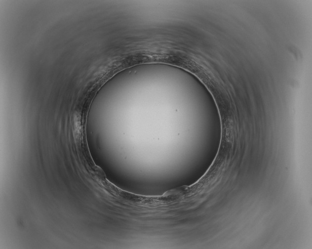 X0000114161298200910151557