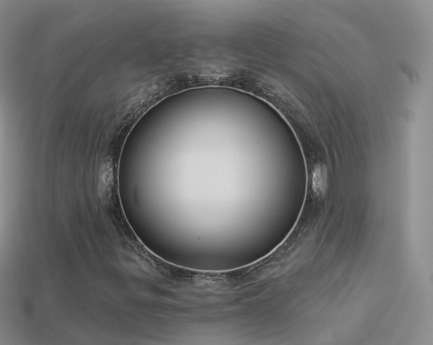 X0000114161299200910151557