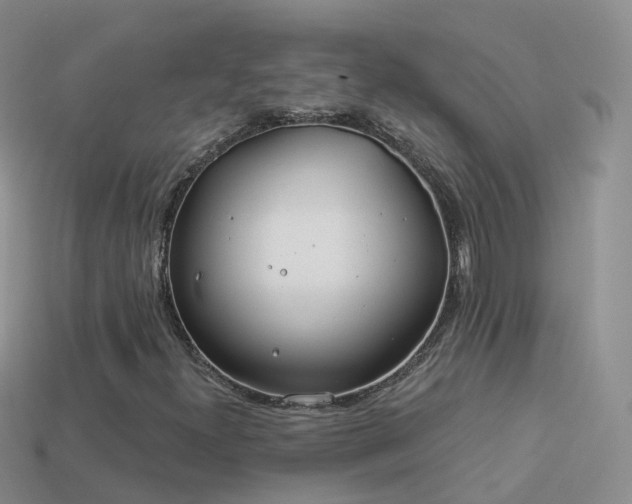 X0000114161300200910151557