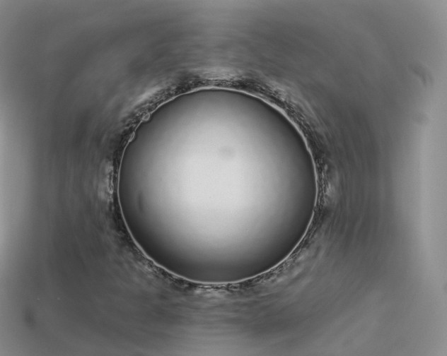 X0000114161301200910151557