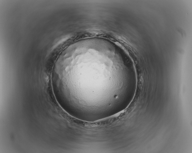 X0000114161302200910151557