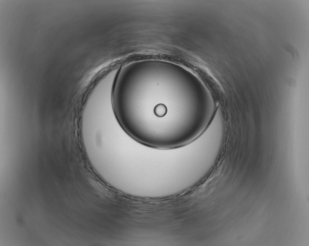 X0000114161304200910151557