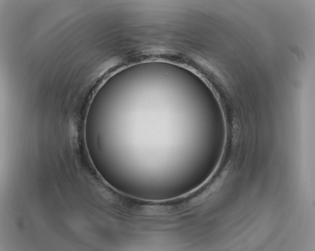 X0000114161305200910151557