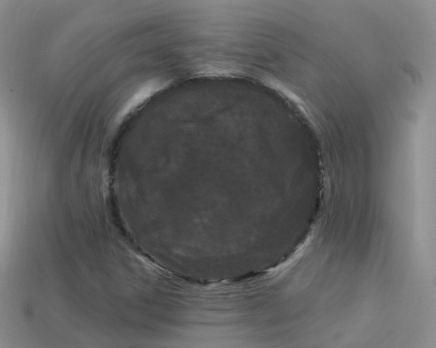 X0000114161306200910151557