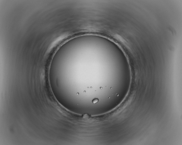 X0000114161307200910151557