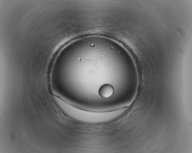 X0000114161308200910151557