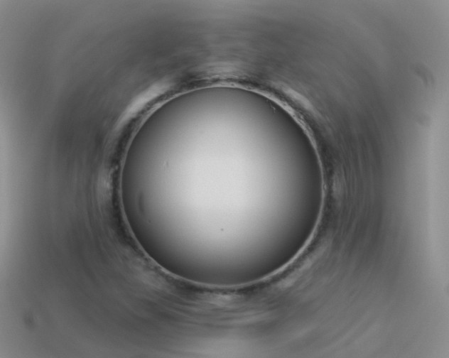 X0000114161309200910151557