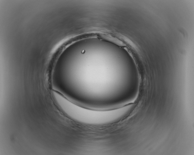 X0000114161310200910151557