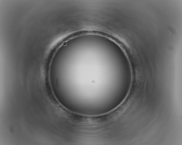 X0000114161311200910151557