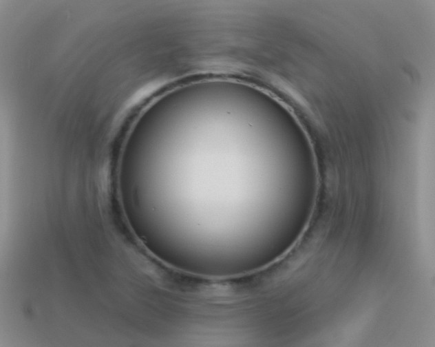 X0000114161315200910151557