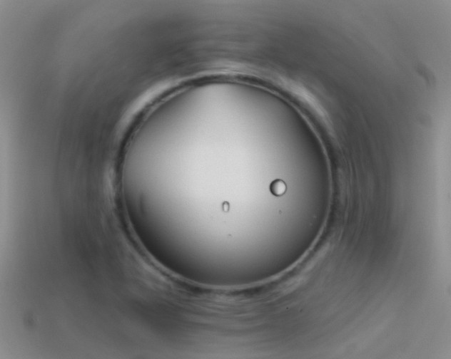 X0000114161318200910151557