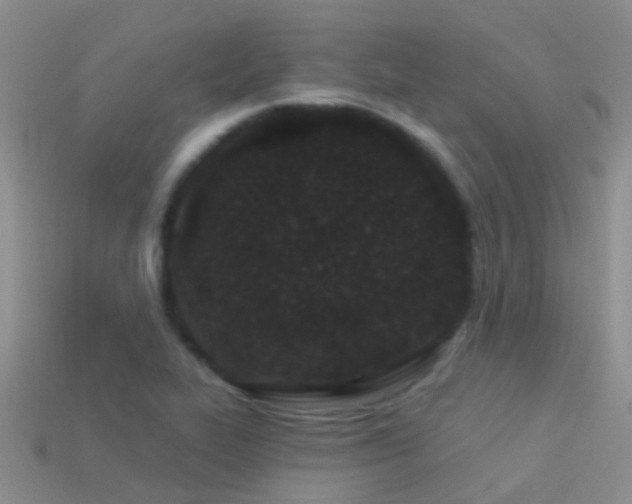 X0000114161319200910151557