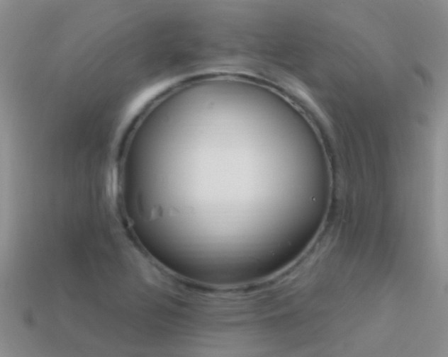 X0000114161320200910151557